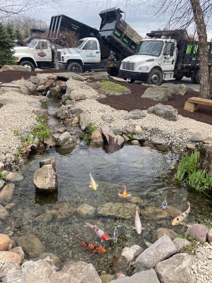 Palmer Nursery Pond Fish Plants